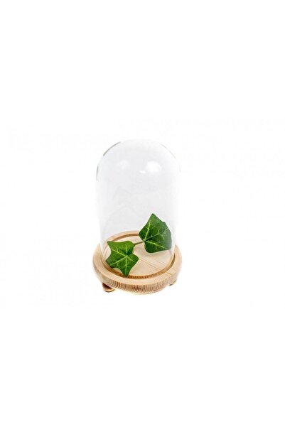 OEM Cupola Sticla Cu Suport Natur Cu Picioruse 17.5 Cm