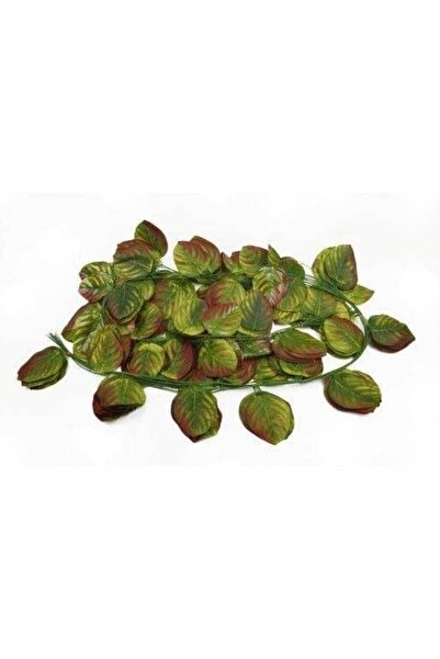 OEM Ghirlanda 12/set Frunze Ovale Verde Maroniu