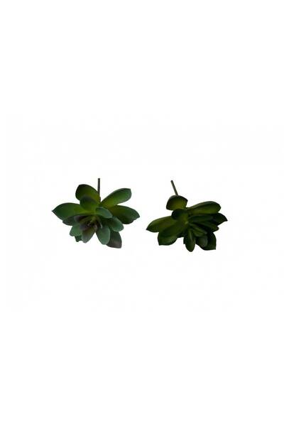 OEM Plante Suculente Artificiale Floare Mica (Set 3 buc) Verde Deschis