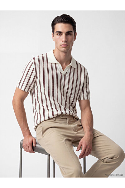 LC Waikiki Burgundy Polo Collar Striped Men's Knitwear T-Shirt