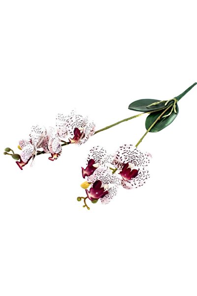 OEM Artificial Flowers Orchid With 2 Branches Purple Tiger