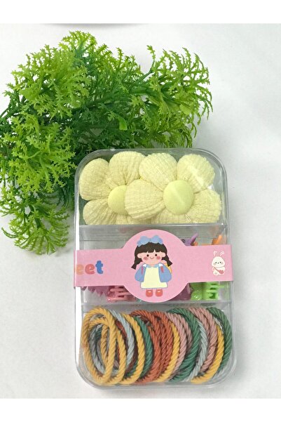 VLDORO Children's Hair Accessory Set - Boxed Flower-Shaped Snap Clips and Pas...