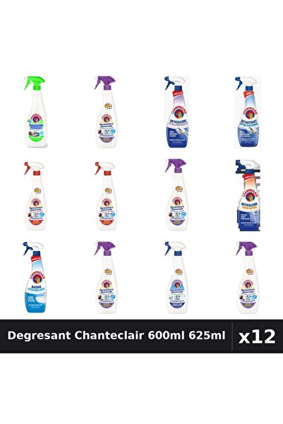 Chanteclair Set 12 Degresant Universal 600ml 625ml - 9 Arome Asortate Curatenie