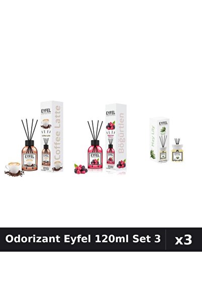 Eyfel Set 3 Odorizant Camera Betisoare 120ml - Cafea, Fructe Pădure, Lacramioare