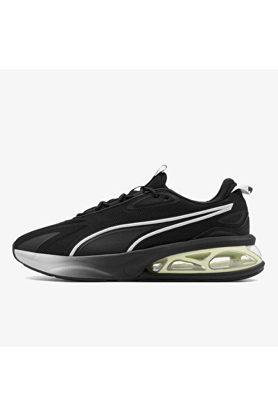 Puma Solar