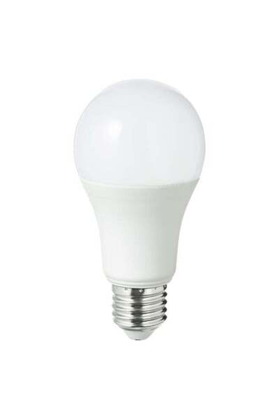 Duravel 12W LED Bulb, A19 Standard Shape, E27 Base,Warm White 3000K For Home ...