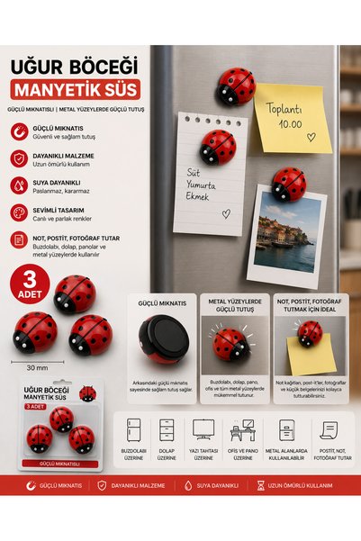 TEMUNGUR 3 Adet Uğur Böceği Magnet 30 mm Güçlü Mıknatıslı Buzdolabı Not Tutuc...