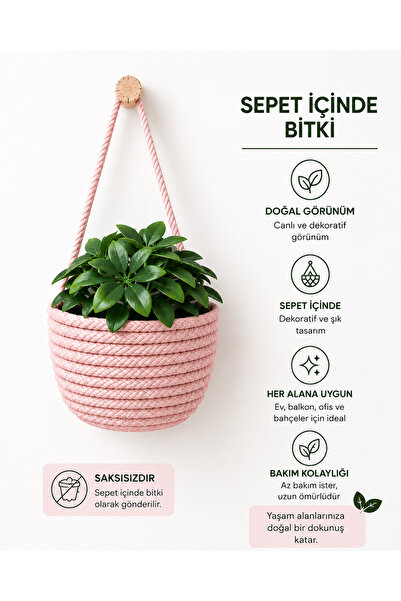 ÖRGÜM Yapay Çiçek Mini Sepetli Dekoratif Bitkili Mini Duvar Sepeti 10x10 Cm