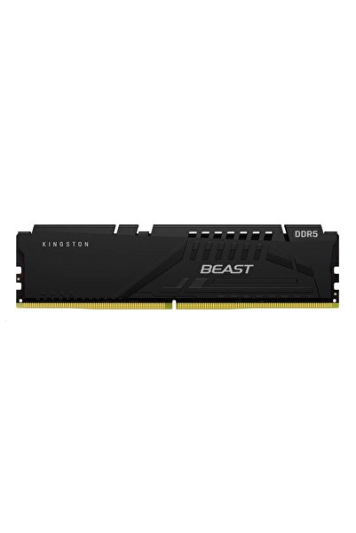 Kingston Grey Kingston Beast Expo Ddr5 16Gb 6000Mhz Cl36 Cooler-Ready Pc Ram