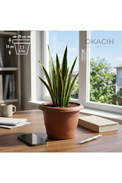 okacih Klasik Yuvarlak Saksı 2.5 Lt - Ev, Ofis ve Balkon İçin Kiremit Renk Saksı