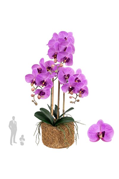 Roberto Rossi Orhidee artificiala mov intens cu aspect H61 cm cu 3 tulpini
