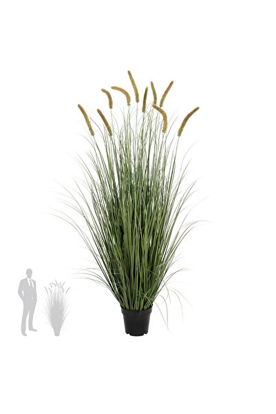 Roberto Rossi Iarba artificiala Onion Cattail 150 cm cu 10 flori verde cu galben