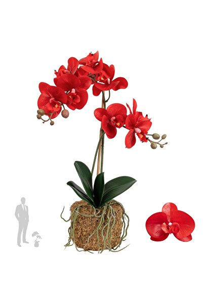 Roberto Rossi Orhidee artificiala rosie cu aspect H52 cm cu 2 tulpini