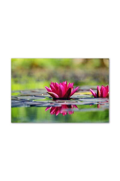 ALAYRA International Alayra Nature Art Canvas Painting|Lotus in Pond|Nature P...
