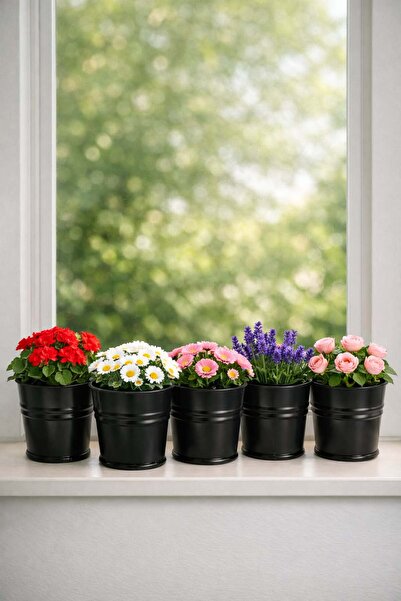 Bayev 5 Μεταλλικοί Μίνι Κάδοι - 9 εκ. Μίνι Γλάστρα Πολλαπλών Χρήσεων για Καρα...