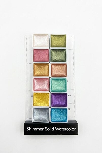 Ocean Galaxy Nail Art Boyama Seti 12 Renkli 314