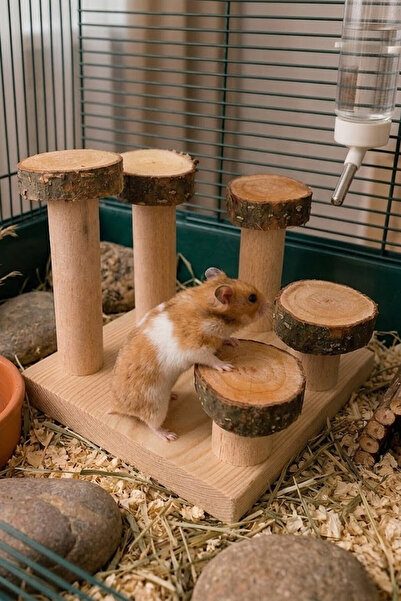 Kuzeylina Doğal Kemirgen Merdiveni ve Tırmanma Standı - Hamster Oyun Kulesi