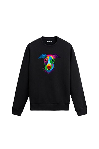 Colermi Colorful Greyhound Printed Sweatshirt