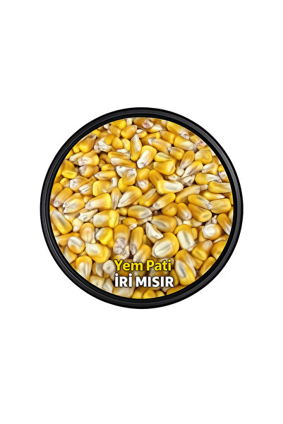 MISIR İRİ 25 KG
