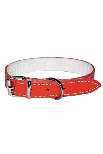4dog Zgardă de câine din piele cu pâslă, Roșu, 30 mm x 620 mm