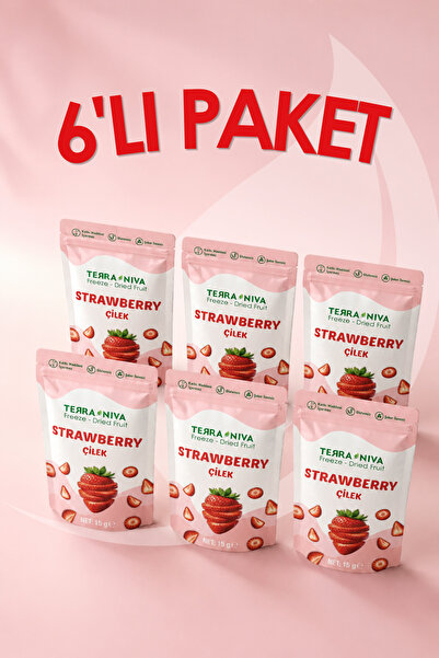 Terra Niva Çilek Kuru Meyve Cipsi - Dondurularak Kurutulmuş Freeze Dried Çıtı...