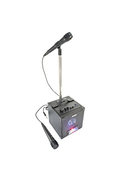 Party Set de boxe karaoke portabile cu suport și 2 microfoane, Bluetooth 5.0