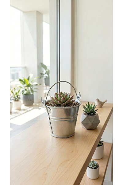 Home GreyfurtArt 1 ADET Çok Amaçlı Metal Kulplu Kova Sunum Kovası Saksı Çiçek...