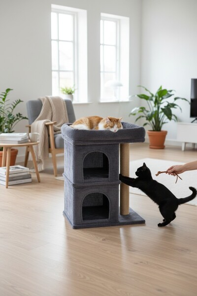 Nursoft Dubleks Kedi Evi 2 Katlı Çift Yuvalı Teraslı Büyük Boy Kedi Yaşam Alanı