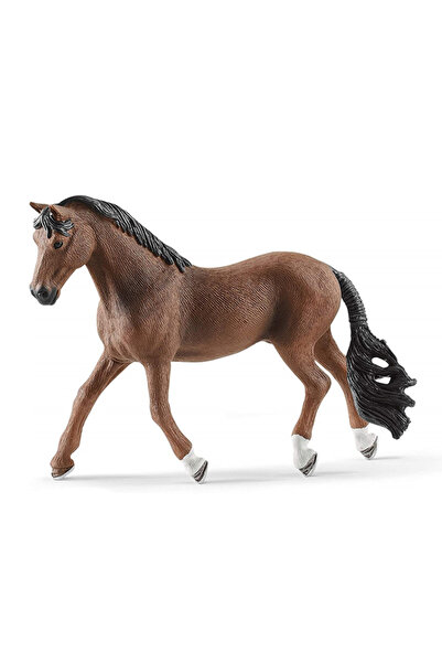 Generic Brand Cal Trakehner