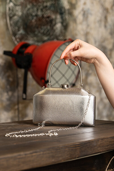 ROZA CANTA Women's Silver Leather/Skin Textured Metal Framed Chain Strap Even...