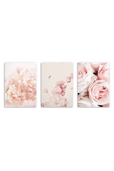 Naklejkomania Postere pentru perete in living, Flori roz bujori 3x 30x40 cm