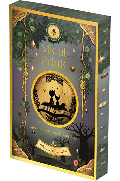 Editura DPH The Little Prince, Antoine De Saint-Exupery - DPH Publishing House