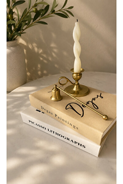 ROSA RAİN Luxury Decorative Book Box Set of 2 – Picasso & Degas Design Storag...