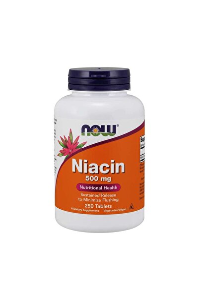 Now Foods Niacin 500 MG