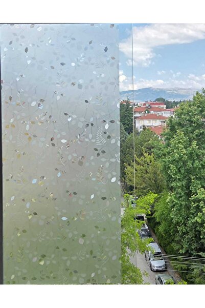 Başak Ev Tekstili Cam Filmi Kaplama Statik Folyo Buzlu Desenli Duşa Kabin Pen...