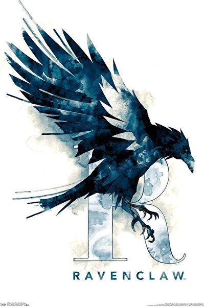 ESSESORIES The Wizarding World: Harry Potter Ravenclaw Movie Poster Wall Art ...