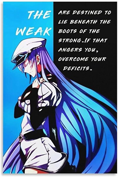 ESSESORIES Akame Ga Kill Esdeath Anime Poster Wall Art Room Decor Self Adhesive