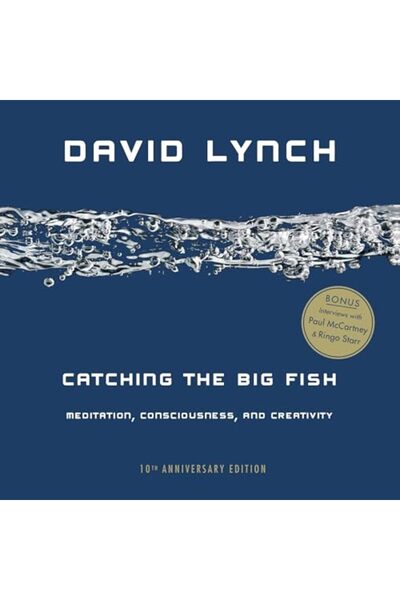Penguin Random House Catching The Big Fish Meditation Consciousness And Creat...