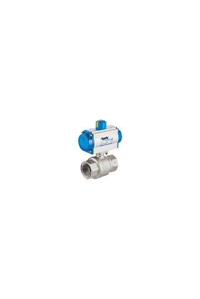 smstork PAV90115DA PNO.AKT.PRİNÇ KÜRESEL VANA 2"