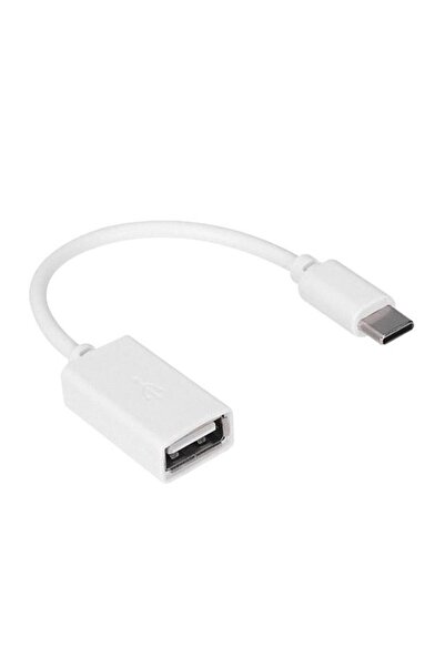 OSKA GLOBAL Hytech Hy-X112 White USB Female to Type-C Male Otg Converter