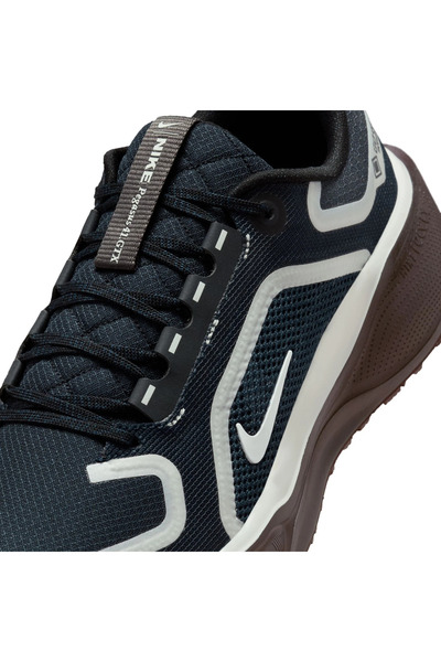 Nike Pegasus 41 GORE-TEX Kadın Koşu Ayakkabısı