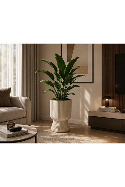 KıtayGroup Lotus Vazo Ayaklı Dekoratif İç Ve Dış Mekan Saksı 10 LT