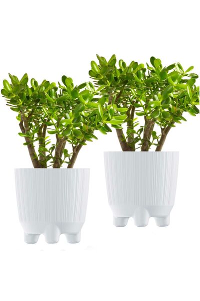 EDANTI Ghiveci rotund pentru flori 14,5 cm Set alb