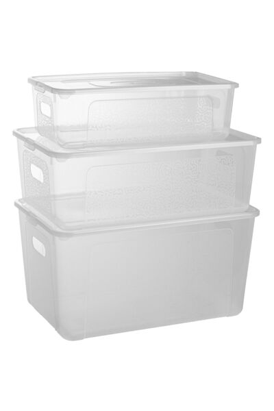 EDANTI Cutie de plastic, Recipiente din plastic cu capac