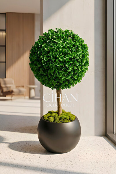 Cihan Çiçekçilik Yapay UV Dayanımlı Şimşir Top Ağacı 100 cm (45 cm Çap) 27x33...