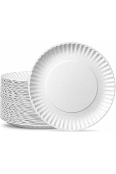 OKA Premium White Round Disposable Paper Plates(100 Pack-9 Inch),Party Event ...