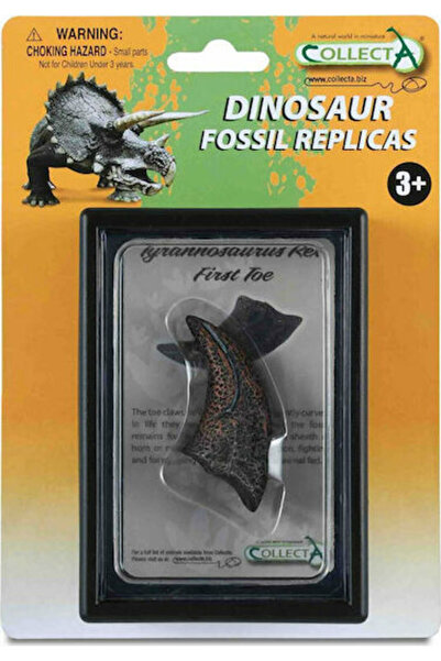 Collecta Dinte de Tyrannosaurus Rex în cutie 11,5 cm (Modele asortate)