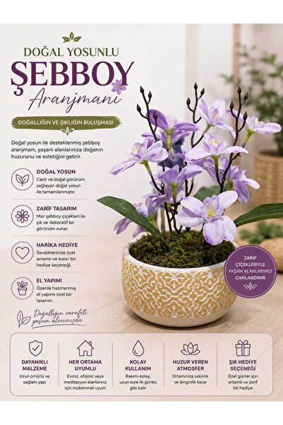 zanfagroup Beton Saksıda Gold Desenli Şebboy