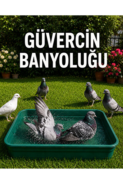 AN-GA AVM Güvercin Banyoluk, Güvercin banyo kabı