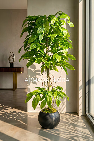 Armada Flora Premium 180 cm Açık Yeşil Yapay Ceviz Ağacı 27*33 Küre Saksılı